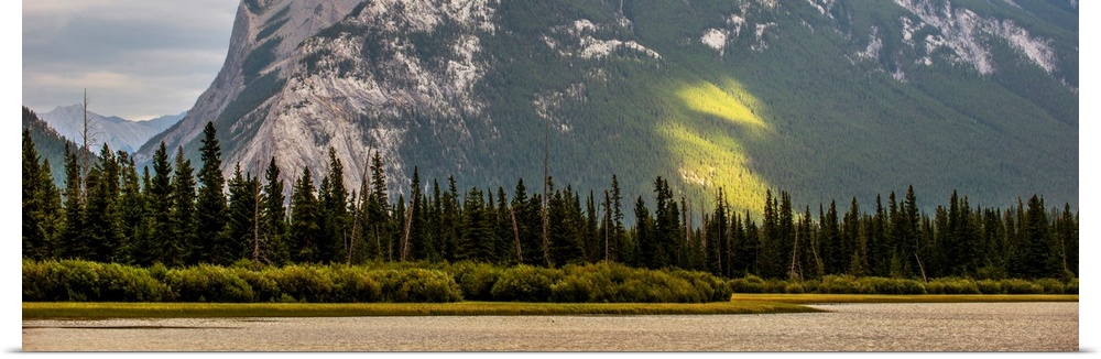 Trees line the edge of Vermilion Lakes in Banff National Park, Alberta, Canada.