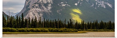 Trees Line The Edge Of Vermilion Lakes, Banff National Park, Alberta, Canada