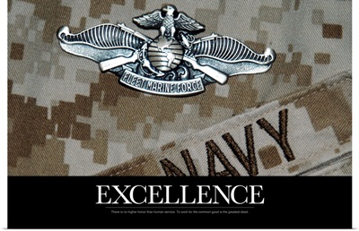 US Navy Poster : The Fleet Marine Force Warfare Specialist Pin