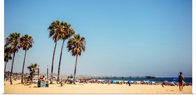 Venice Beach With Fishing Pier, Los Angeles
