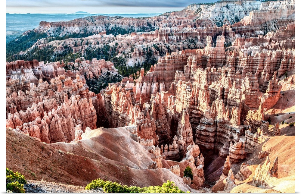 View from Sunset Point of irregularly eroded spires of rocks. These rocks are also known as Hoodoos.