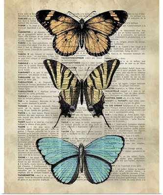 Vintage Dictionary Art: Butterfly Specimen