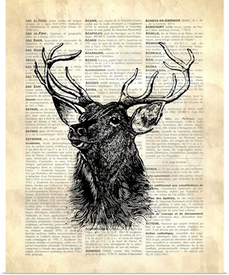 Vintage Dictionary Art: Deer