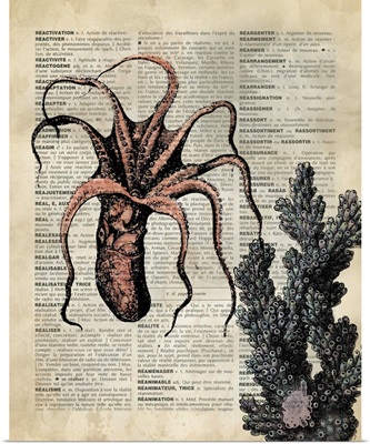 Vintage Dictionary Art: Octopus