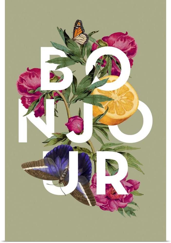 A collage of vintage flowers, fruit and insects intertwined with the word Bonjour on a green background.