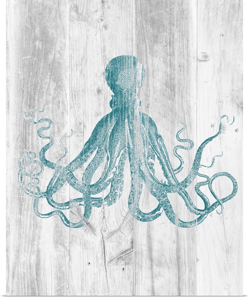 Vintage illustration of a blue octopus over a faux white barnwood background.