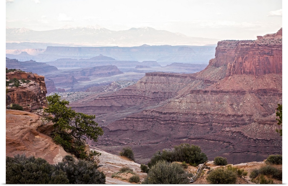 View of the red sandstone cliffs, with visible sediment lines in the eroded rock, Canyonlands National Park, Moab, Utah.