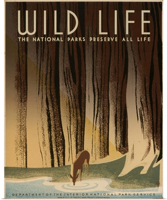 Wild Life, The National Parks Preserve All Life - WPA Poster