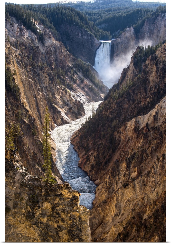 View of Winding Yellowstone River with Lower Falls in the background at Yellowstone National Park, Wyoming.