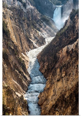 Winding Yellowstone River with Lower Falls, Yellowstone National Park