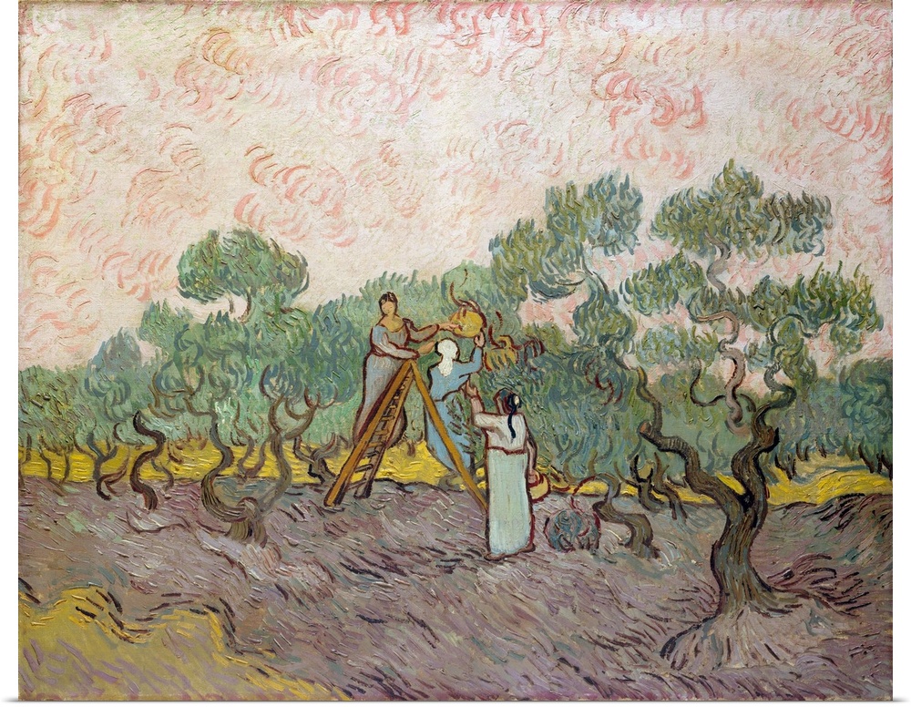 At the end of 1889, Van Gogh painted three versions of this picture. He described the first as a study from nature more co...