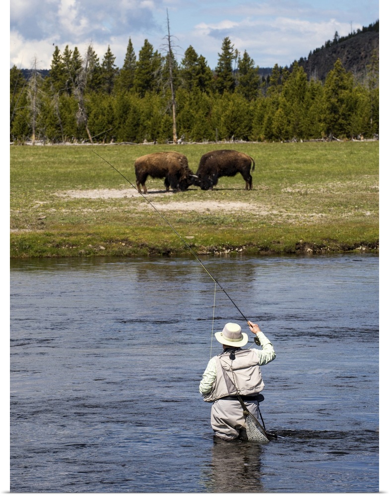 Person fly fishing in a river at Yellowstone National Park.