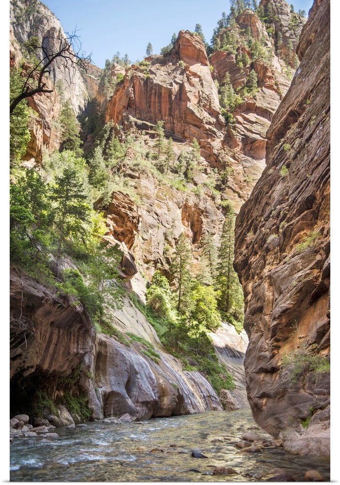 Landscape photograph of the North Fork of the Virgin River at Zion National Park.
