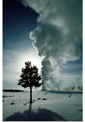 Old Faithful geyser erupting in winter, Yellowstone National Park, Wyoming