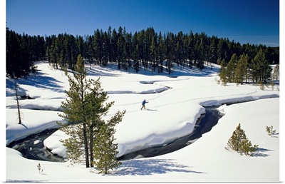 Virginia Creek, with a cross-country skier, Yellowstone National Park, Montana
