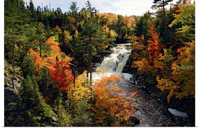 Waterfall in between fall colors in a forest