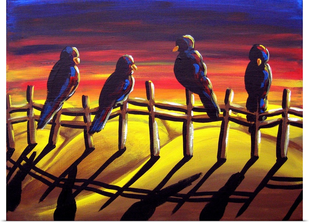 Four Crows are enjoying a brilliant sunset as they sit on a fence, chattering among themselves.