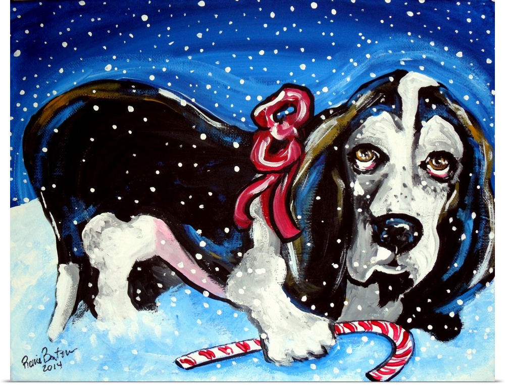 A Basset Hound in the snow with a candy cane.