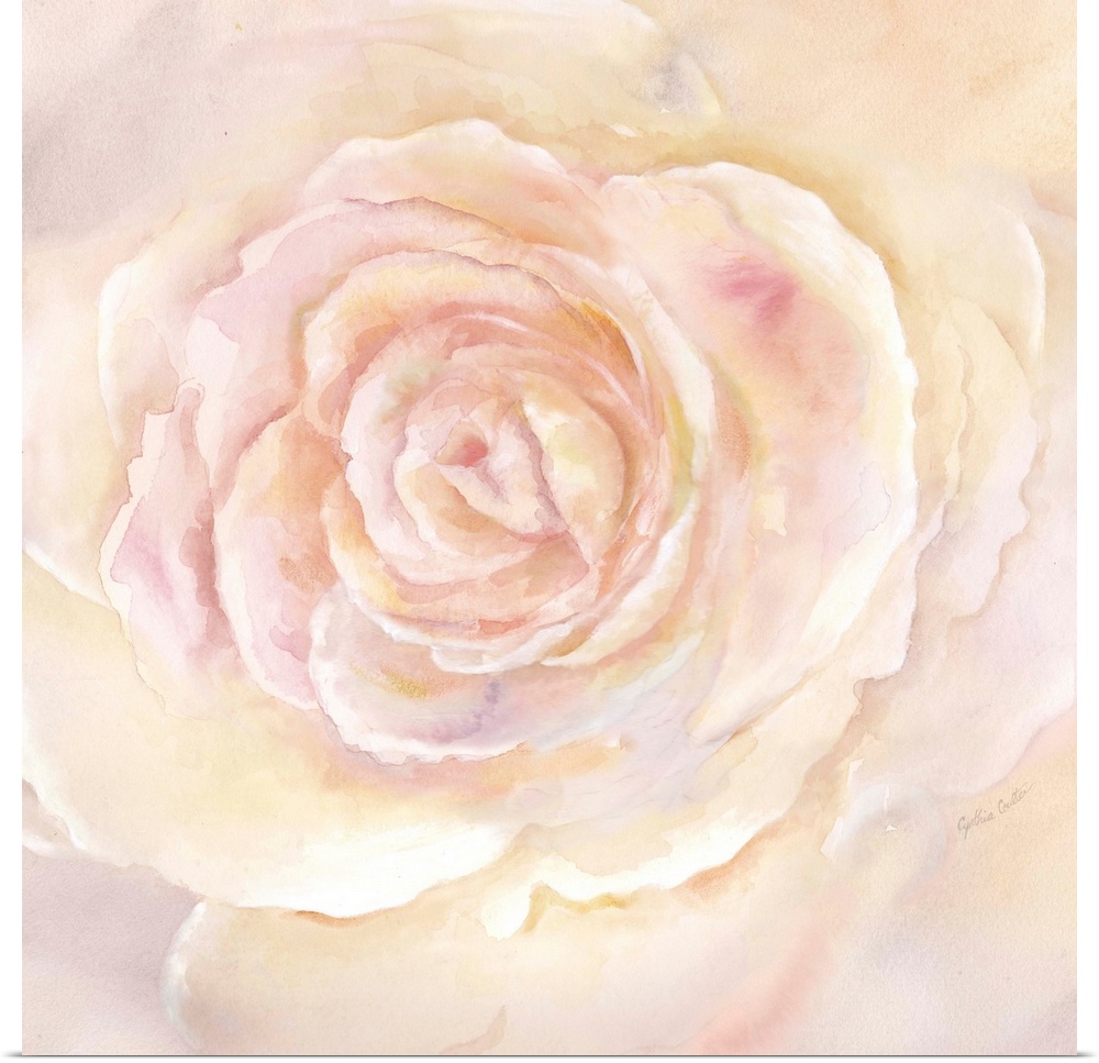 Square painting of a close up image of a blush colored rose.