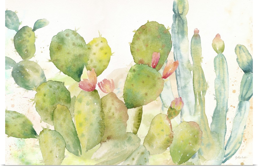 A horizontal decorative watercolor painting of a group of cactus in a garden.
