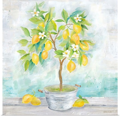 Country Lemon Tree