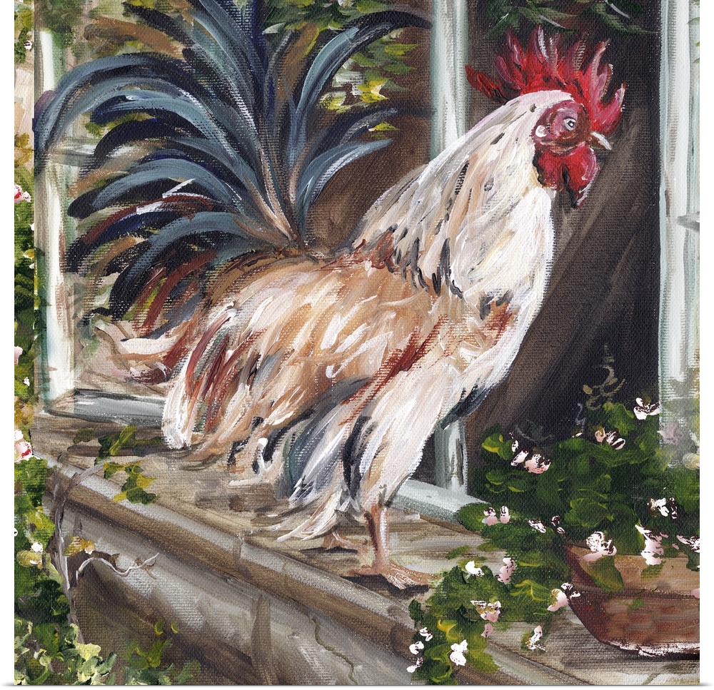 Square contemporary painting in a traditional style of a white and brown rooster perched on a window sill.