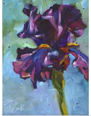 Iris In Bloom