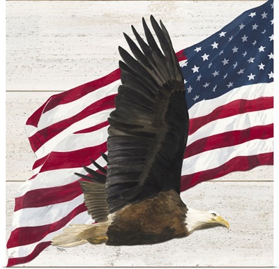 Let Freedom Soar V