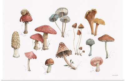 Mushroom Medley 01