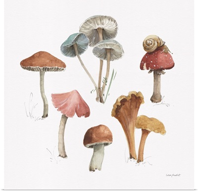 Mushroom Medley 02