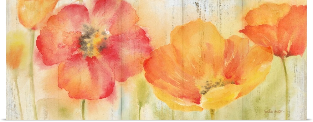 A bright watercolor painting of red, orange and yellow poppies against a faded orange and green backdrop.