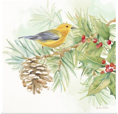 Winter Birds I Warbler