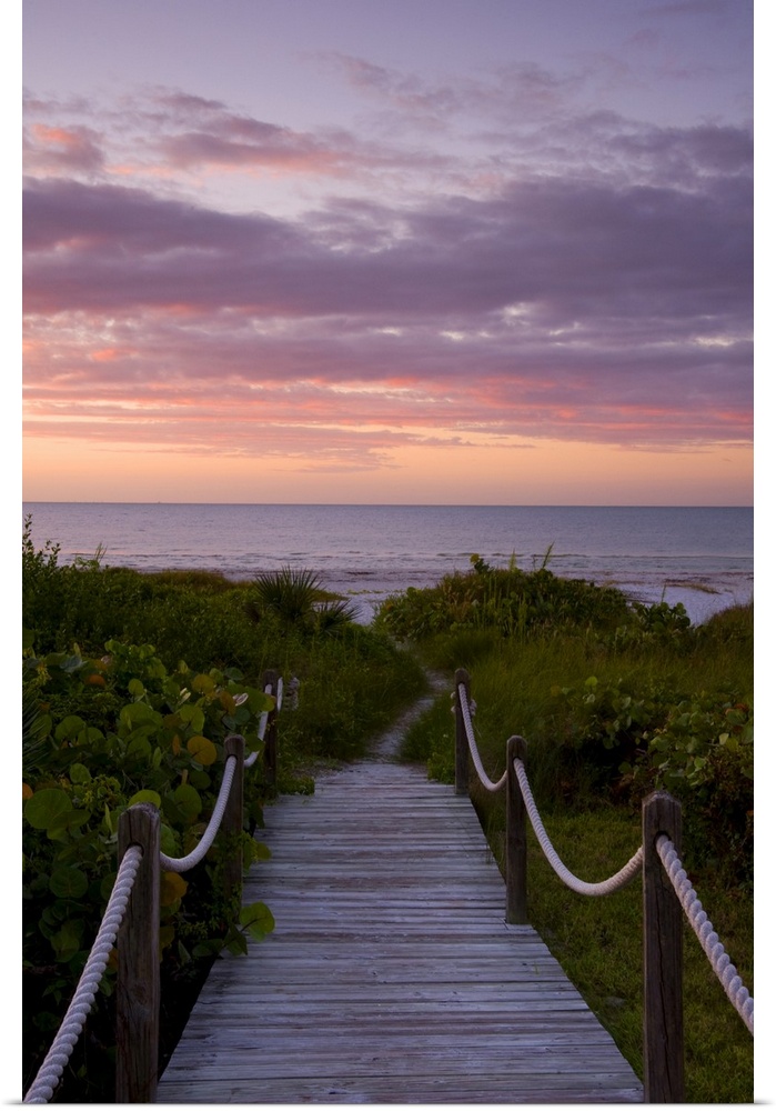 A boardwalk over sand dunes and tropical vegetation leading to the beach at sunrise, Sanibel Island, Florida, United State...