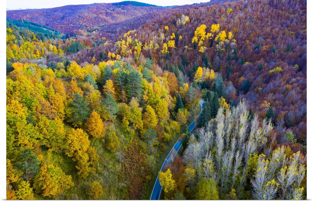 Aerial view of a decidual forest and road in autumn. Close to Irati area. Navarre, Spain, Europe.