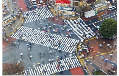 Aerial View Of The Shibuya Crossing Crosswalks, Shibuya, Tokyo, Japan