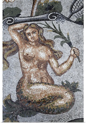 Astral Sign Of Virgo In Mosaic In Galleria Umberto, Naples, Campania, Italy, Europe