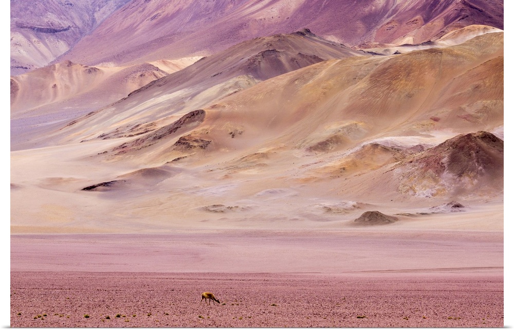 Atacama Desert, Chile, South America