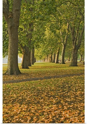 Autumn, Hyde Park, London, England