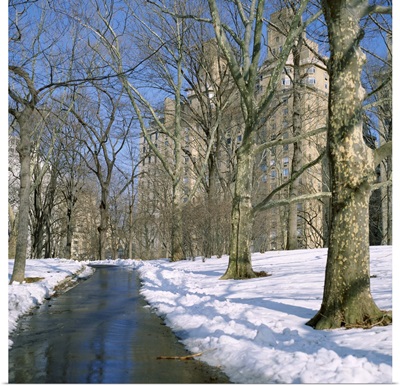 Bare trees and snow in winter in Central Park, Manhattan, New York City, NY, USA