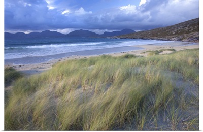 Beach at Luskentyre with dune grasses being blown, Outer Hebrides, Scotland