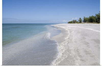 Beach covered in shells, Captiva Island, Gulf Coast, Florida