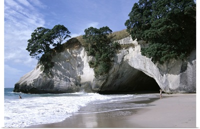 Beach, white chalk cliffs, stacks and arches, Whitianga, South Auckland, New Zealand