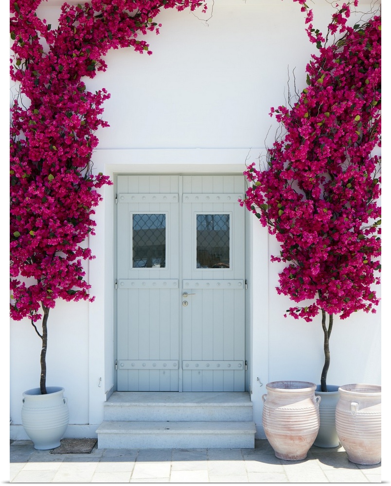 Plastic bougainvillea decoration surrounding a mint coloured door in Naxos city, Naxos, Cyclades, Greek Islands, Greece, E...