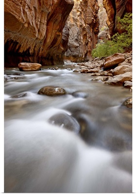 Cascade in The Narrows of the Virgin River, Zion National Park, Utah
