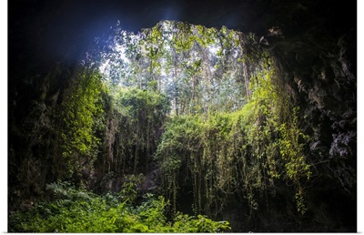 Cave System In The Virunga National Park, Rwanda