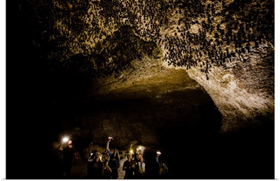Cavers shining lamps on bats in Pokhara Bat Caves, Pokhara, Nepal