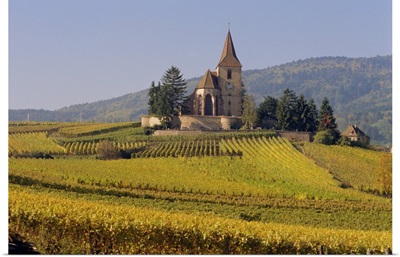 Church in vineyards, Hunawihr, Alsace, France