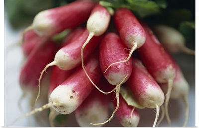 Close-up of a bunch of radishes