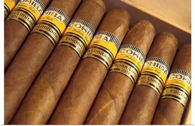 Close-up photograph of limited edition cigars in a box, Cohiba, Havana, Cuba