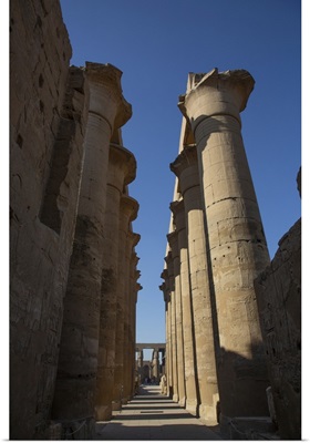 Colonnade Of Amenhotep III, Luxor Temple, Luxor, Egypt, North Africa, Africa